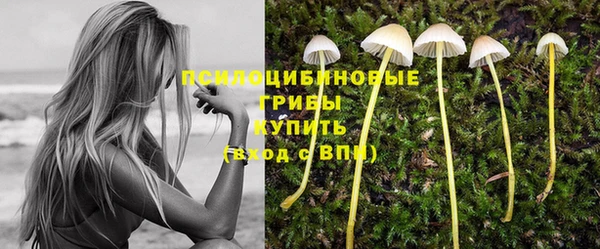 дурь Бородино