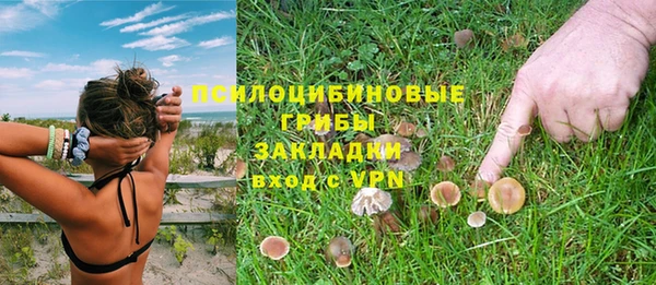 дурь Бородино