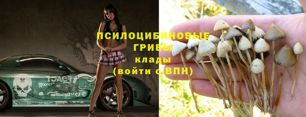 дурь Бородино