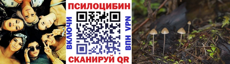 Галлюциногенные грибы GOLDEN TEACHER  где можно купить   Бородино 